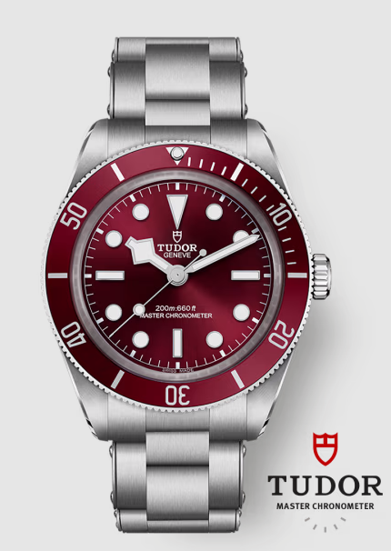 Replica Tudor Black Bay 58 Watch M7939A1A0RU-0002